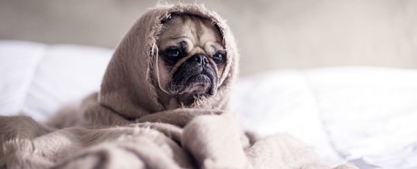 Feeling exhausted? Here's the science behind 'burnout' and how to deal with it
