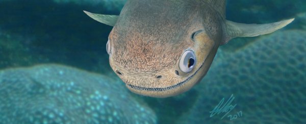 A tiny 400 million-year-old fishy just changed our view of vertebrate evolution