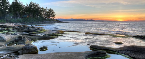 People keep finding human feet on the shores of this peaceful Canadian province