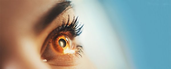 For the first time, scientists have 3D-printed an important part of the human eye