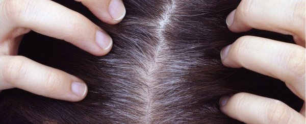 Here's why your hair is turning grey, according to science