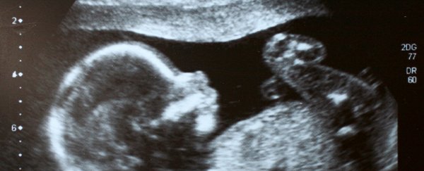 A massive clue on pregnancy and the development of schizophrenia was just found