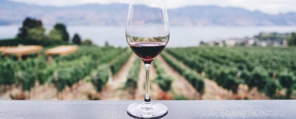 ScienceAlert Deal: This Service Uses Machine Learning to Find Your Perfect Wine
