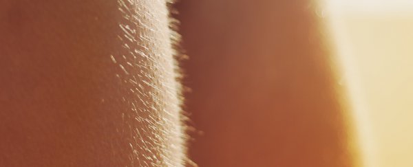 If you feel itchy at the lightest touch, science might finally have an answer