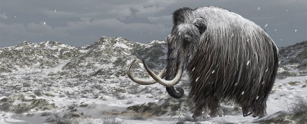 Could resurrecting the mammoth help stop Arctic emissions?
