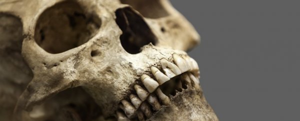 This common viral disease has plagued humanity thousands of years longer than we thought