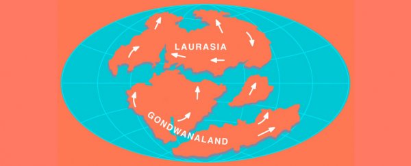 An incredible fossil just changed what we know about the split of Pangaea