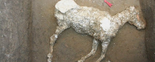 Eerie remains of a 2,000-year-old horse have been discovered in Pompeii