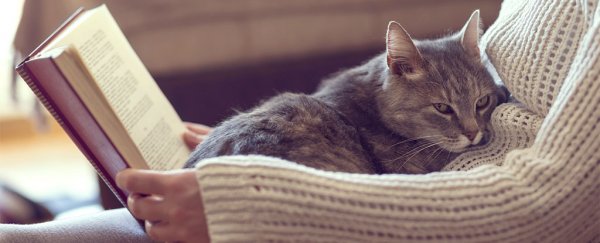 What everyone gets wrong about introverts