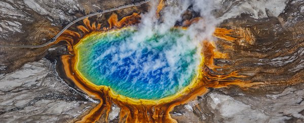 A new Yellowstone Park discovery points back to the origins of life