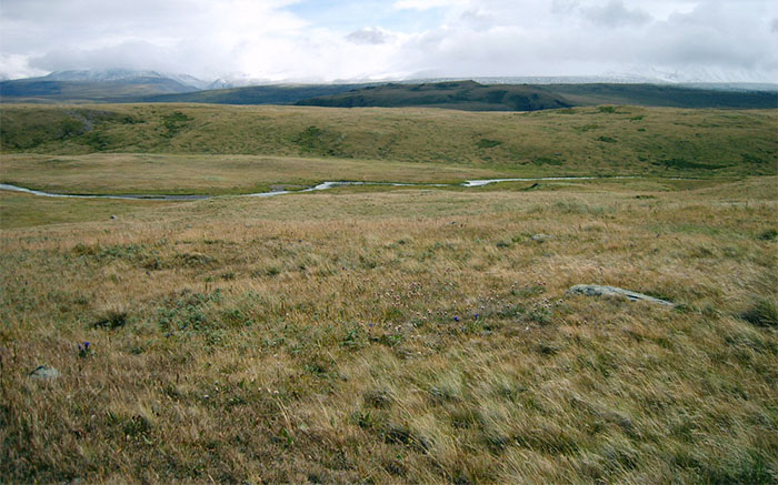 ukok plateau siberia