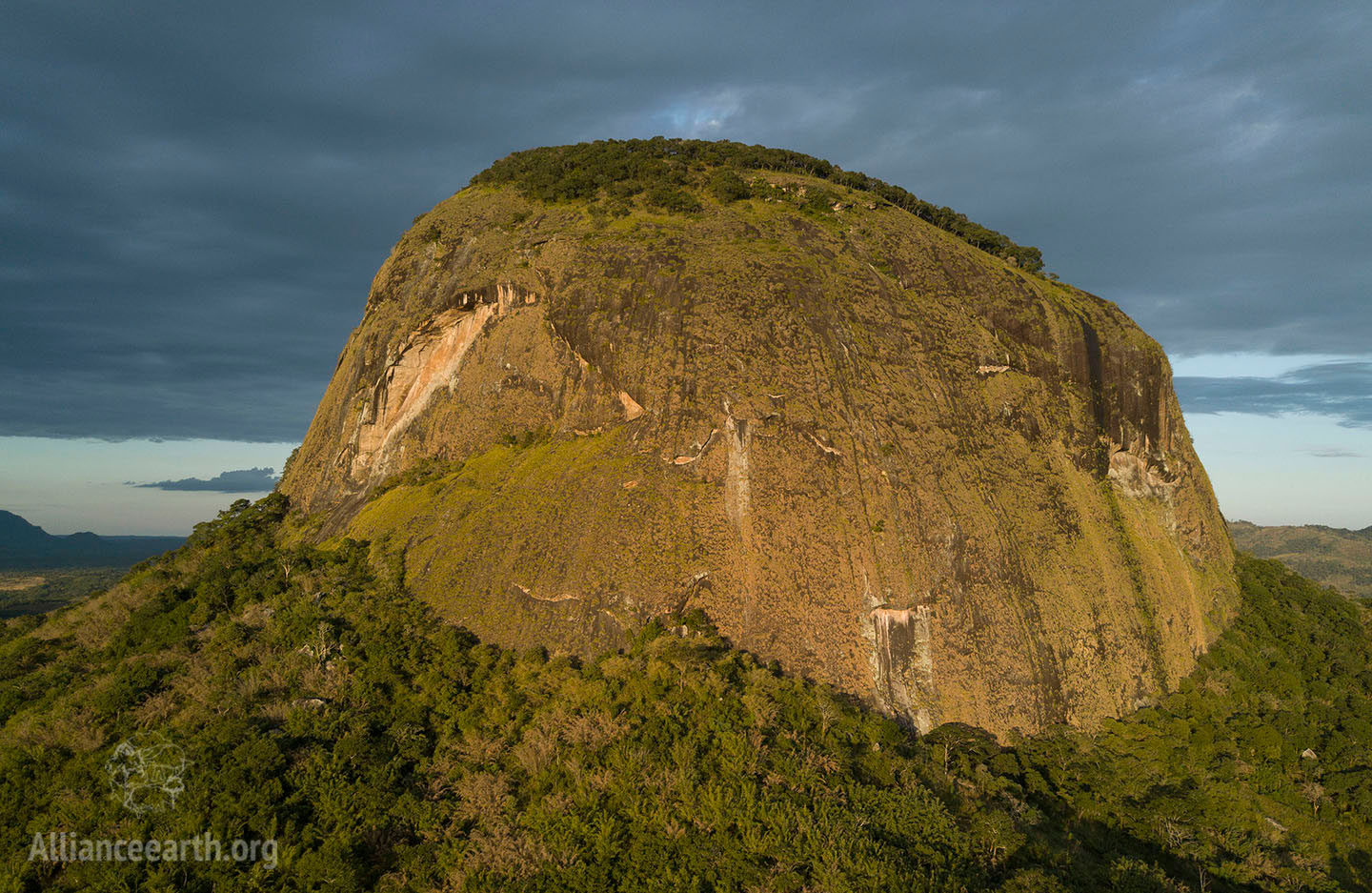 Lico Mountain of Mystery watermark