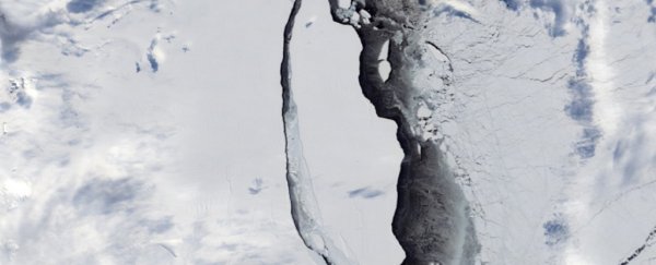 All signs indicate Antarctica is melting faster than anyone thought