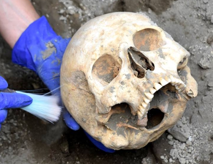 pompeii skull 1 700