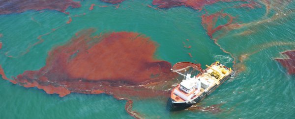Trump just erased an Obama-era policy to protect the oceans