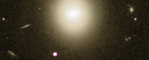 Astronomers have discovered the best evidence yet for a rare "missing link" black hole