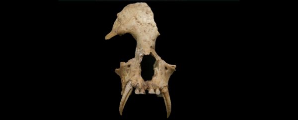 Archaeologists have found something truly disturbing in an ancient Chinese tomb