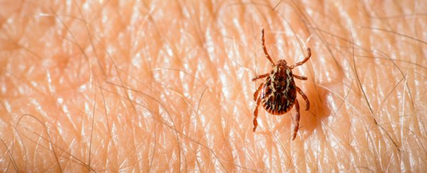 This 5-year-old kid got the scariest tick bite side-effect we've ever heard of