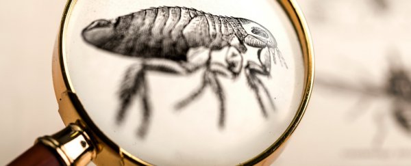 An unlucky child in Idaho is currently being treated for actual bubonic plague