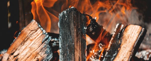 There's a Huge Problem With US And EU Claims That Wood Burning Is "Carbon Neutral"