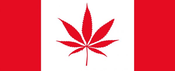 Canada just became the 2nd country in the world to legalize marijuana