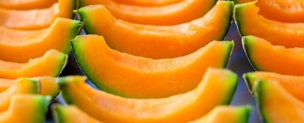 Salmonella in melons has sickened at least 60 people in dangerous outbreak