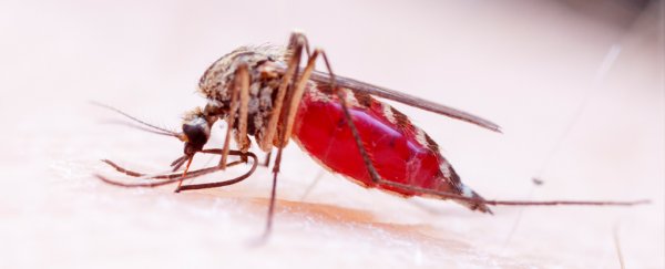 A radical plan to exterminate mosquitoes just received major funding from the Gates Foundation