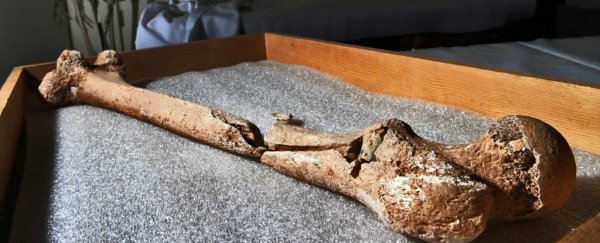 Grisly discovery of a surgeon's "limb pit" reveals the horrors of the Civil War