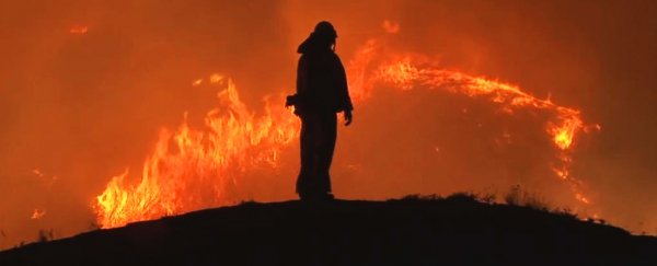 2018 was the year we could no longer pretend climate change wasn't happening
