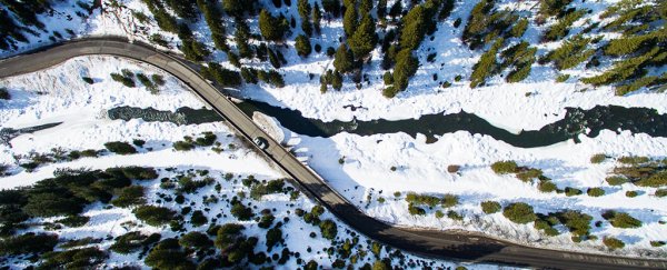 Decades of satellite data reveal devastating land changes in the largest US state