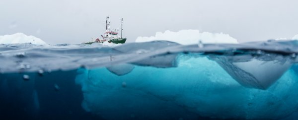 It's official, plastic pollution has now reached our last unspoilt wilderness