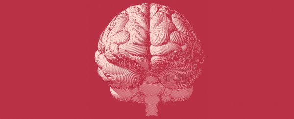 Scientists just found almost 1,000 new genes associated with intelligence