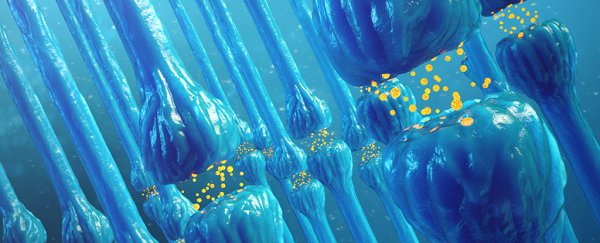 A decades-old asthma drug has reversed brain damage from dementia in mice