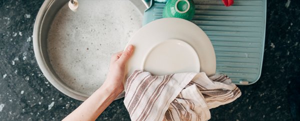 Can your kitchen towels really give you gastro? This is what the science says
