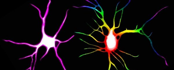 We have the best evidence yet that psychedelic drugs can repair broken neural networks