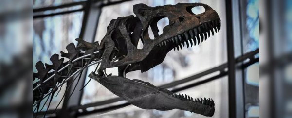 A mystery dinosaur was nearly lost to science because someone bought it for a ridiculous sum