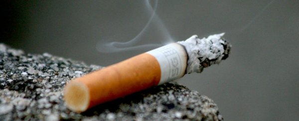 Here's how long it really takes to break a habit, according to science