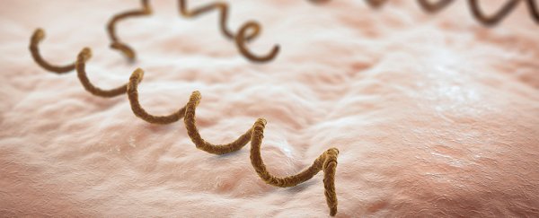 The centuries of not having a vaccine for syphilis could finally come to an end