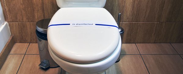Can you really catch germs from a public toilet seat?