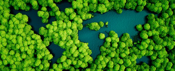 Our planet lost 40 football fields of tree cover every single minute in 2017