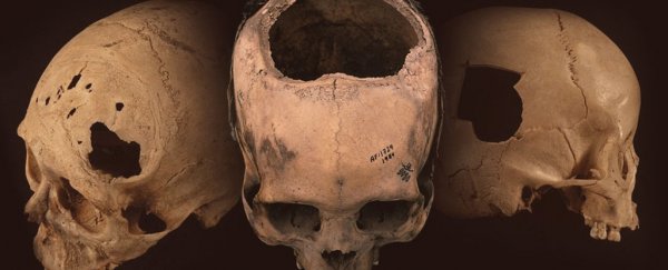 Inca doctors were better at skull surgery than American surgeons 400 years later