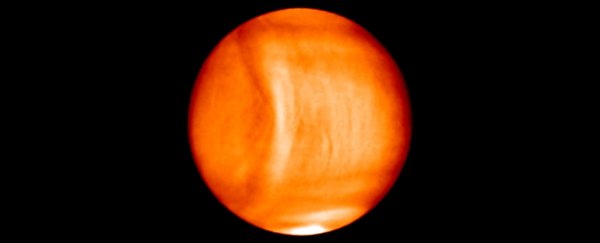 An epic, planet-scale wave has been hiding in the toxic clouds of Venus for decades
