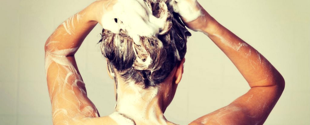 How Often You Should Wash Your Hair, According to Science : ScienceAlert