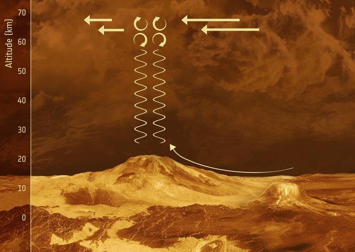 venus wave schematic