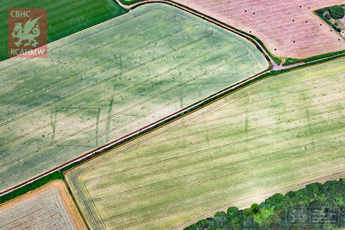 835 ancient crop mark wales 3