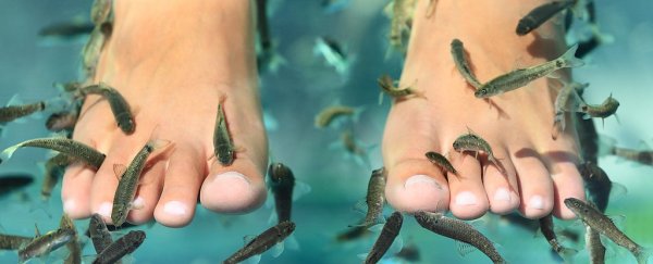A woman in New York lost her toenails after a fish pedicure