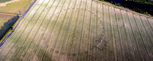 An ancient mystery henge has appeared in 'once in a lifetime' discovery in Ireland