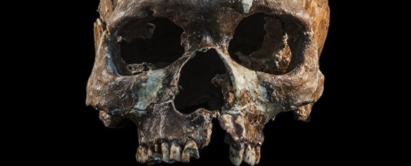 8,000-year-old remains tell a surprising story about the ancestry of Southeast Asia