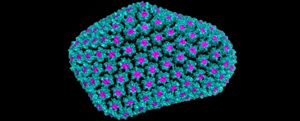 BREAKING: We just discovered the molecule that makes HIV so stealthy