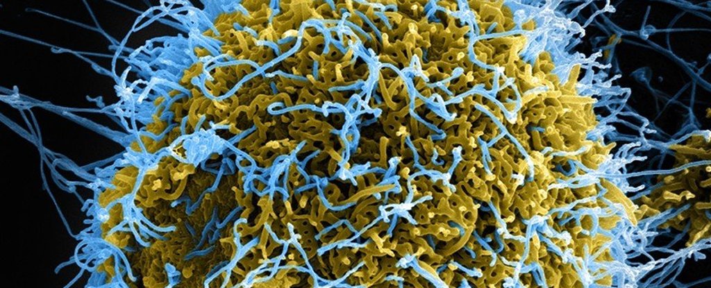 Here's The Terrifying Reason The US Just Approved a Drug Here's The Terrifying Reason The US Just Approved a Drug